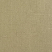 Load image into Gallery viewer, Encore Premium Cardstock - Textured | Pack of 25