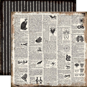Echo Park: Double-Sided Paper - Chillingsworth Manor - Dictionary
