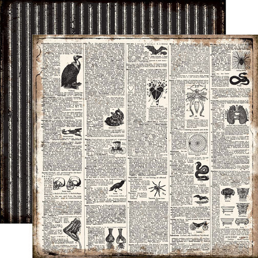 Echo Park: Double-Sided Paper - Chillingsworth Manor - Dictionary