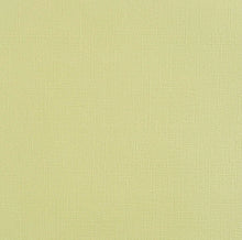 Load image into Gallery viewer, Encore Premium Cardstock - Textured | Pack of 25