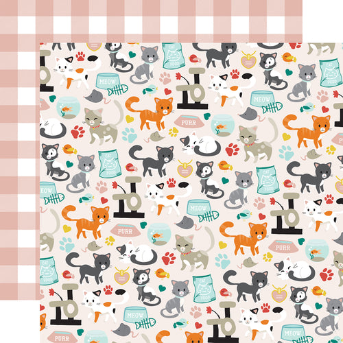 Echo Park: 12x12 Double-Sided Paper - Cat - Cat Friends