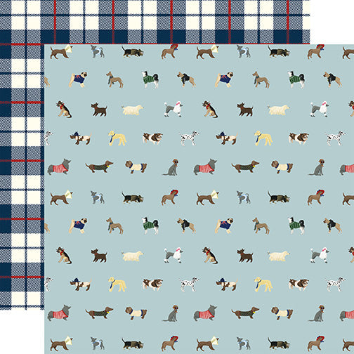 Echo Park: 12x12 Double-Sided Paper - A Dog's Tail - Ruff Life