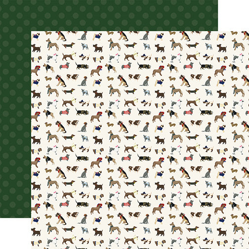 Echo Park: 12x12 Double-Sided Paper - A Dog's Tail - Furry Friends