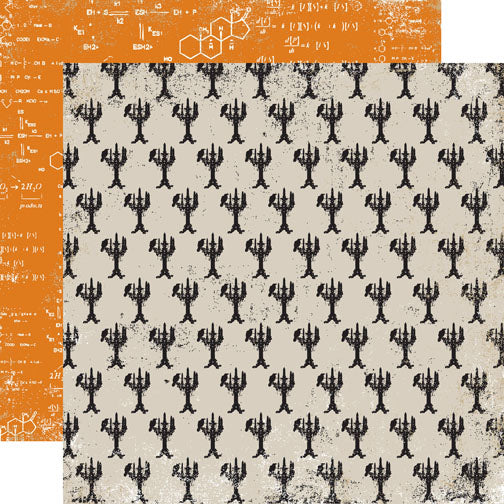 Carta Bella: Double-Sided Paper - Apothecary Emporium - Black Magic
