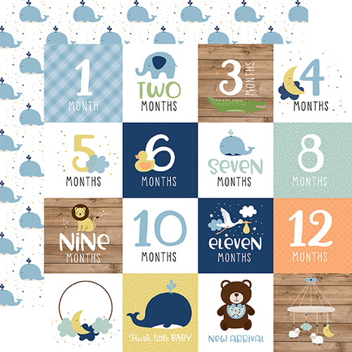 Echo Park:  12x12 Paper - Double-Sided Single Sheet - Baby Boy - Milestone Cards