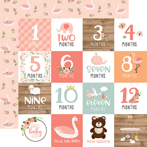 Echo Park:  12x12 Paper - Single Sheet - Baby Girl - Milestone Cards