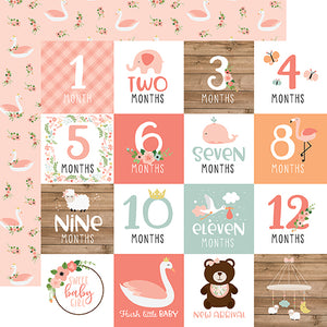 Echo Park:  12x12 Paper - Single Sheet - Baby Girl - Milestone Cards