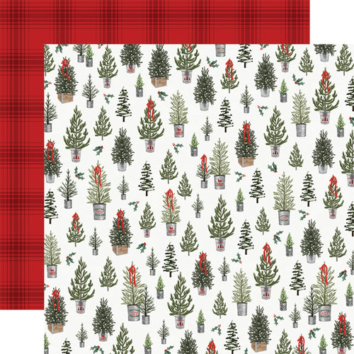 Carta Bella:  12x12 Paper - Double-Sided Single Sheet - Farmhouse Christmas - Tree Farm