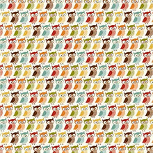 Load image into Gallery viewer, Echo Park:  12x12 Paper - Single Sheet - Fall is in the Air - Thankful Owls