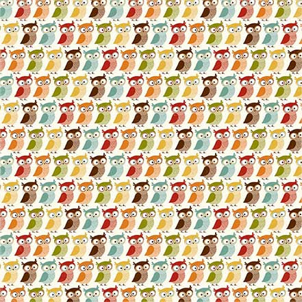 Echo Park:  12x12 Paper - Single Sheet - Fall is in the Air - Thankful Owls