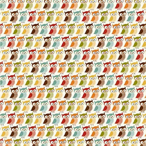 Echo Park:  12x12 Paper - Single Sheet - Fall is in the Air - Thankful Owls
