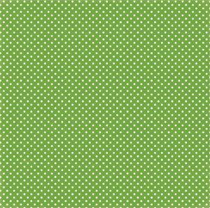 Echo Park:  12x12 Paper - Single Sheet - Homegrown - Cherry on Top