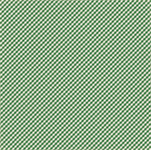 Load image into Gallery viewer, Echo Park:  12x12 Paper - Single Sheet - Homegrown - Green Gingham