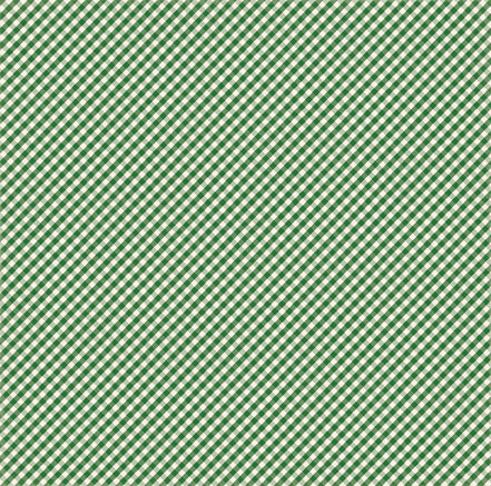 Echo Park:  12x12 Paper - Single Sheet - Homegrown - Green Gingham