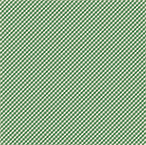 Echo Park:  12x12 Paper - Single Sheet - Homegrown - Green Gingham