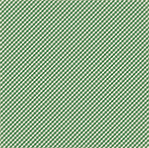 Echo Park:  12x12 Paper - Single Sheet - Homegrown - Green Gingham