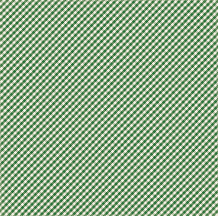 Echo Park:  12x12 Paper - Single Sheet - Homegrown - Green Gingham