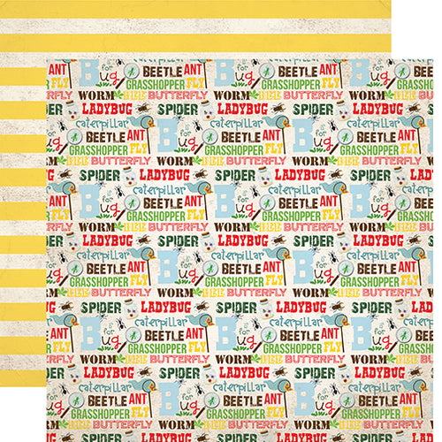 Echo Park: 12x12 Double-Sided Paper - Bug Collection - Bug Words