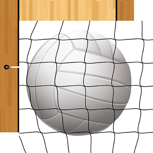 Echo Park: 12x12 Double-Sided Paper - Volleyball