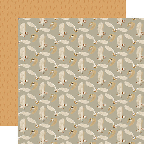 Echo Park: 12x12 Double Sided Paper - Witches And Wizards - Owls