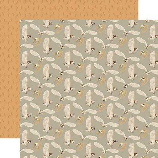 Echo Park: 12x12 Double Sided Paper - Witches And Wizards - Owls